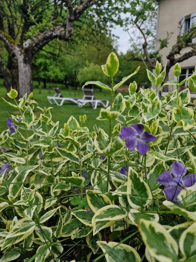 Gite L'Enclos O Rendez-Vous Roquefeuil-Pays De Sault- Avec Jardin 外观 照片
